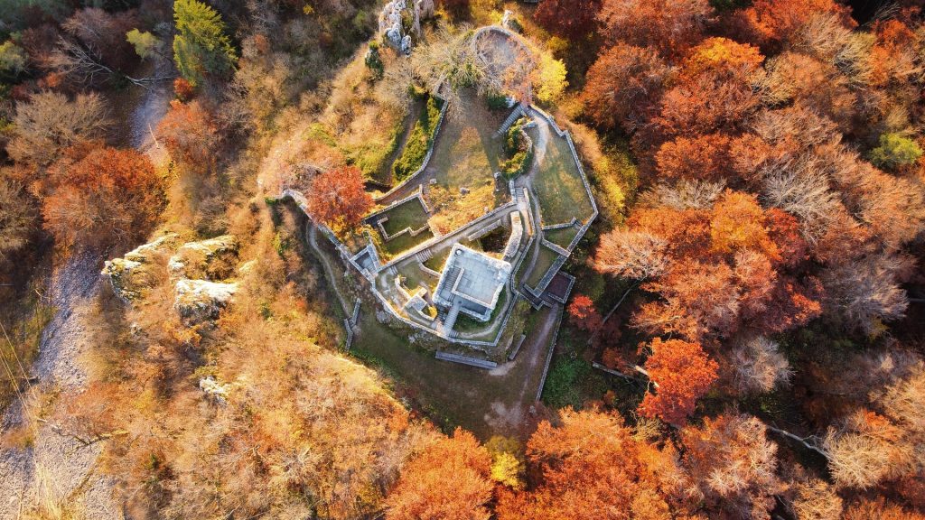 sauterpick nature 6781839 1920